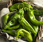 Picture of Hatch Chile Roasting