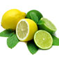 Picture of Zesty Lemons or Limes