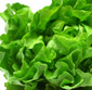 Picture of Organic Girl Organic Big Butter! Lettuce Head