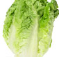 Picture of Hearts of Romaine
