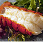 Picture of Lobster Tails