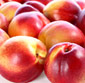 Picture of Sweet Yellow Nectarines