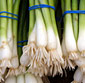 Picture of Green Onions
