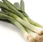 Picture of Organic Green Onions