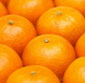 Picture of Organic Mandarins