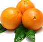 Picture of Heirloom Navel Oranges