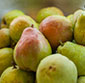 Picture of Premium Variety Bartlett, Bosc or D'Anjou  Pears