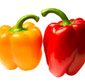 Picture of Extra Extra Large Red, Yellow or Orange Bell Peppers