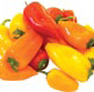 Picture of Mini Sweet Peppers