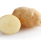 Picture of Large Creamy Baking Potatoes