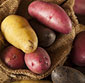 Picture of Yellow or Red Potatoes