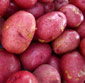 Picture of Red or Yellow Potatoes