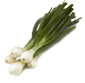 Picture of Green Onions