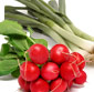 Picture of Radish & Green Onion