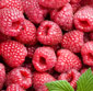 Picture of Juicy Raspberries