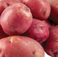 Picture of Best Choice Red or Gold Potatoes