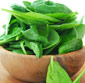 Picture of Fresh Spinach