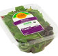 Picture of Wild Harvest Salad Blends