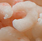 Picture of Fresh Oregon Shrimp Meat