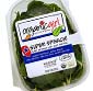 Picture of Organic Girl Protein Greens