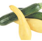Picture of Zucchini or Yellow Squash
