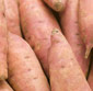 Picture of Organic Yams