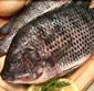 Picture of Whole Tilapia