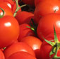 Picture of Campari Cocktail Tomatoes