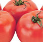 Picture of Extra Extra Large Hot House Tomatoes