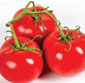 Picture of On Vine Tomatoes