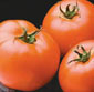 Picture of Organic Hot House Tomatoes