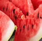 Picture of Super Sweet Watermelons
