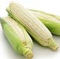 Picture of Sweet White Corn 