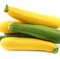 Picture of Zucchini or Yellow Squash