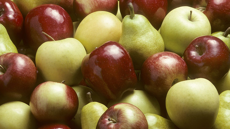 Picture of Bartlett Pears, Fuji, Gala, Granny Smith, Red Delicious, Golden Delicious,