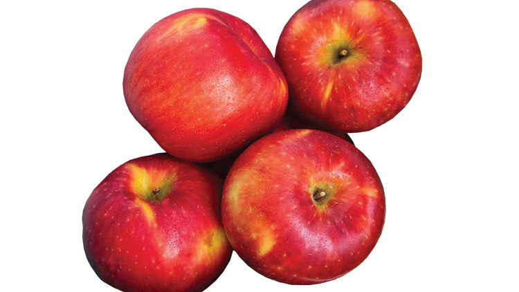 Picture of Cosmic Crisp Apples