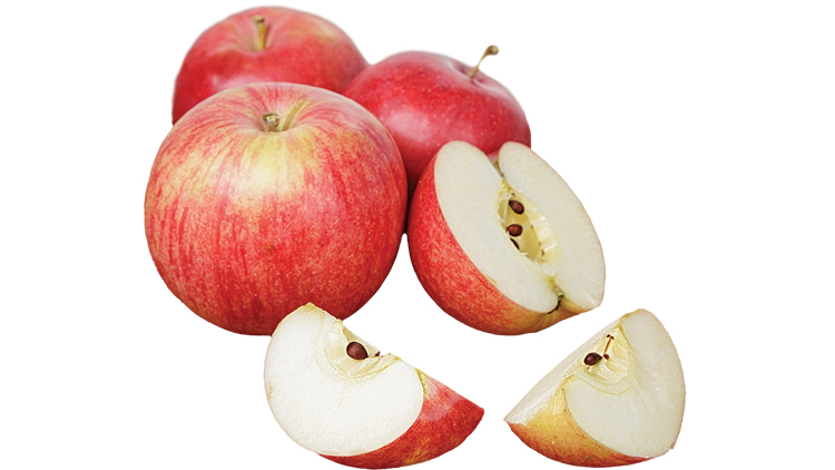 Picture of Juicy Bartlett Pears or Gala Apples