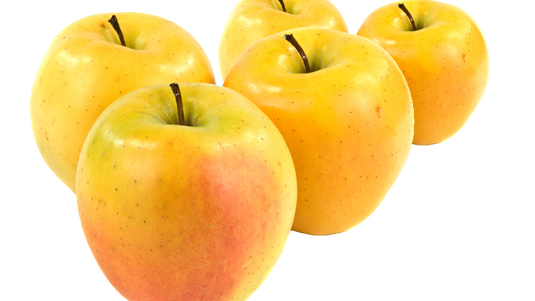 Picture of Extra Large Golden Delicious Apples