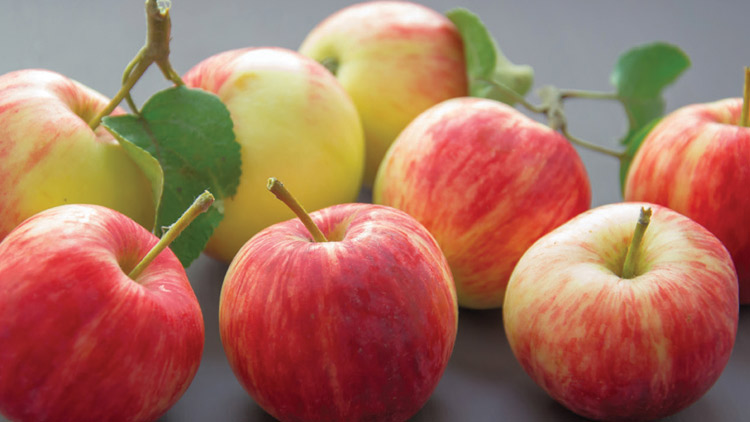 Picture of Sweet Honeycrisp Apples