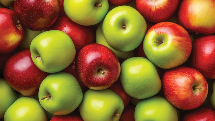 Picture of Fuji, Gala, Pink Lady, Granny Smith, Honeycrisp or Red Delicious Apples