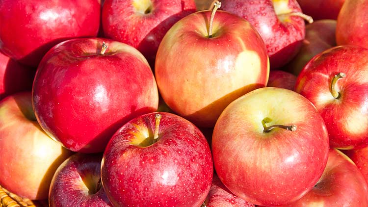 Picture of Cosmic Crisp Apples
