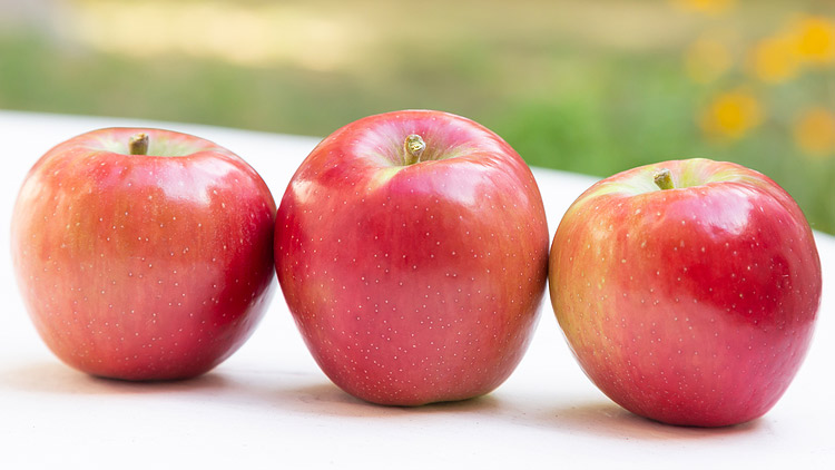 Picture of Evercrip Apples