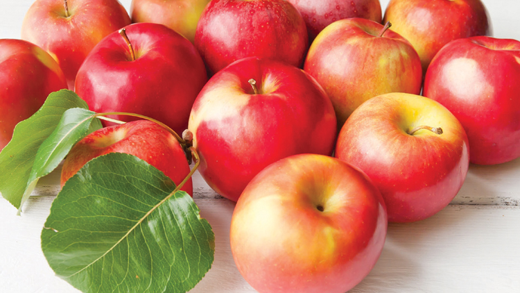Picture of Gala Apples