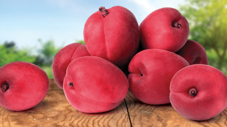 Picture of Red Velvet Apricots