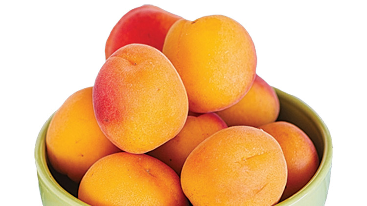 Picture of California Yellow Apricots