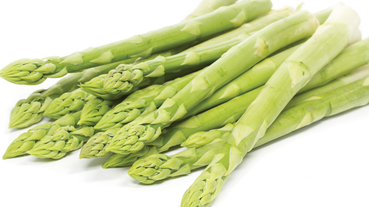 Picture of Fresh Asparagus or Green Beans