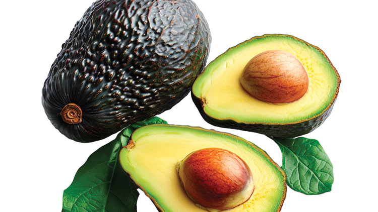 Picture of Medium Hass Avocados