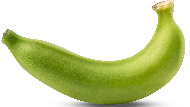 Picture of Hard Green Cooking Bananas