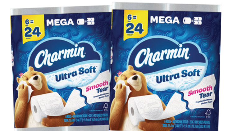 Picture of Bounty Paper Towels or Charmin Bath Tissue