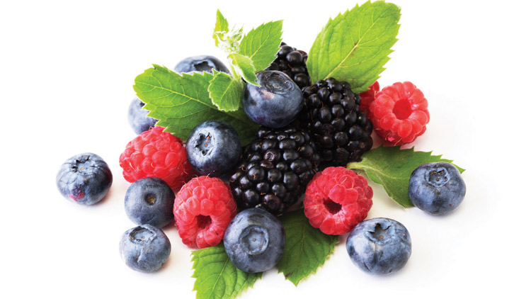 Picture of Blueberries, Blackberries or Raspberries